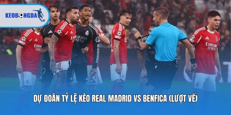 Dự đoán tỷ lệ kèo Real Madrid vs Benfica (Lượt về)