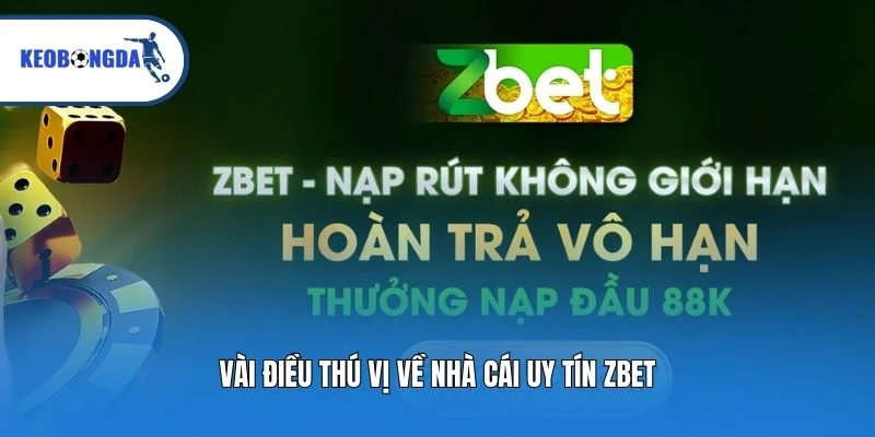 Vài điều thú vị về nhà cái uy tín Zbet