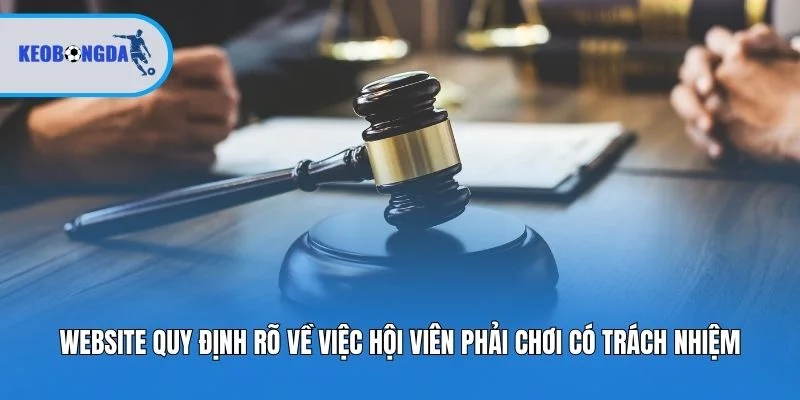 Website quy định rõ về việc hội viên phải chơi có trách nhiệm
